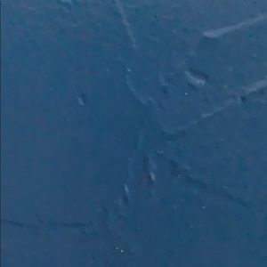 Meet your Posher, Sophia